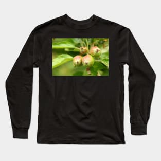 Unripe apples Long Sleeve T-Shirt